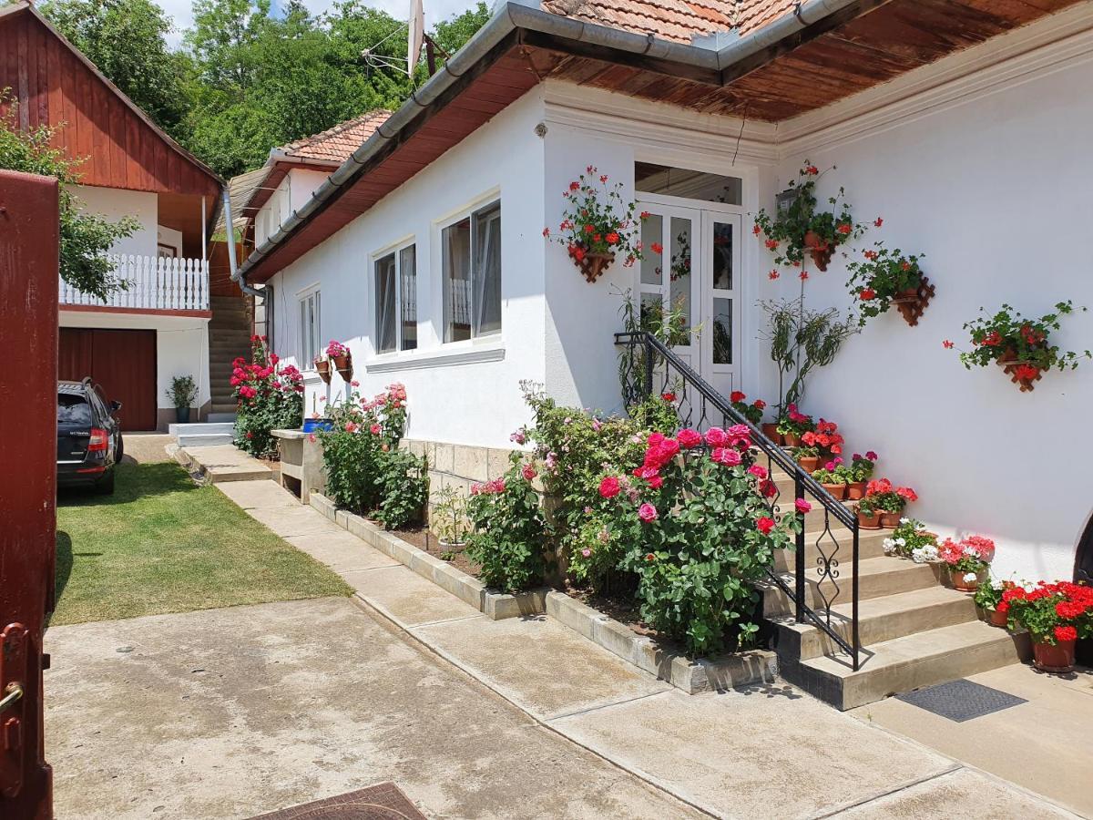 Rozsa Panzio Bed and Breakfast Rimetea Eksteriør billede