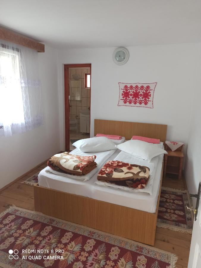 Rozsa Panzio Bed and Breakfast Rimetea Eksteriør billede